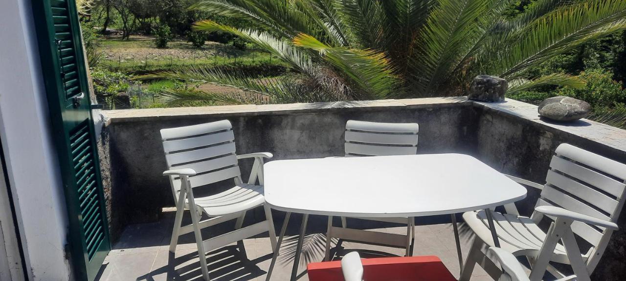 Apartamento Vecchio Mulino Fontona Girasole Chiesanuova  Exterior foto